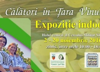 Calatori in tara vinului