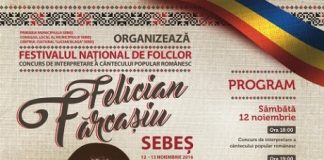 Festival Felician Farcasu
