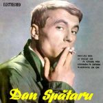 Dan Spataru – Music Artist