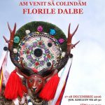 florile dalbe - muzeul dimitrei gusti