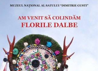 florile dalbe - muzeul dimitrei gusti