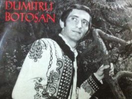 Dumitru Botosan - Music Artist