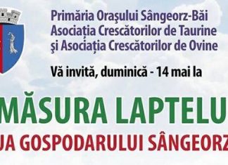 Masura laptelui - Ziua gospodarului sangeorzan featured