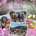 Festivalul National „Bujorul de Munte”