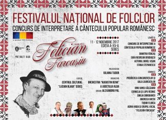 Festivalul Felician Farcasiu 2017