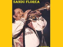 Sandu Florea Trompeta - Music Artist