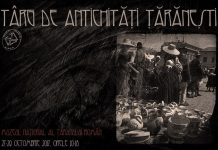 Targ de Antichitati Taranesti