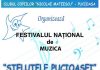 Festivalul Stelele Pucioasei - 2017