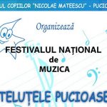 Festivalul Stelele Pucioasei - 2017