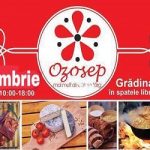 Targ Ozosep - Decembrie 2017