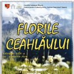 Festivalul de muzica populara - Florile Ceahlaului 2018