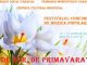Festivalul - De Dor de Primavara 2018