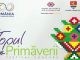 Festivalul Topul Primaverii -Timisoara 2018