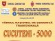 Targului national de ceramica „CUCUTENI – 5000” - 2018