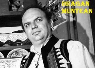 Dragan Muntean - Music Artist