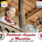 Festivalul International de Folclor ”Carpati”
