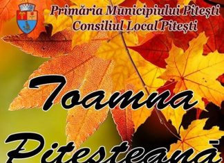 Targul „Toamna Pitesteana” 2018