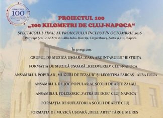 Proiectul 100 - Scoala Populara de Arte Cluj