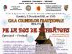Gala Colindelor Traditionale, la Gherla 2018