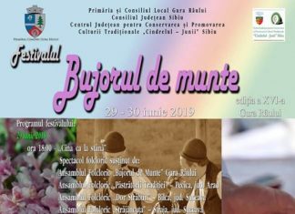 Festivalul - Bujorul de Munte la Gura Raului 2019