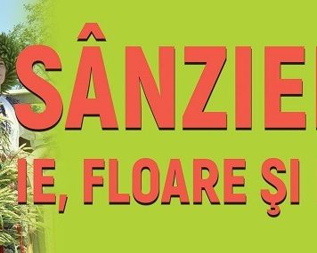 Sanziene- ie, floare si lumina - Muzeul National Dimitrie Gusti