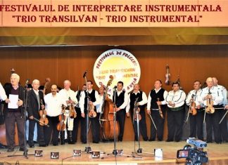 Festivalul de interpretare instrumentala Trio Transilvan - Trio Instrumental 2019